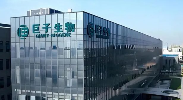 巨子生物的“体面”与“焦虑”:胶原神话的流逝与抗争